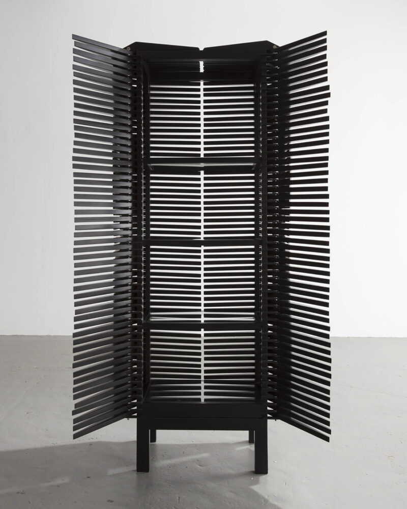 Magistral cabinet. Sebastian Errazuriz