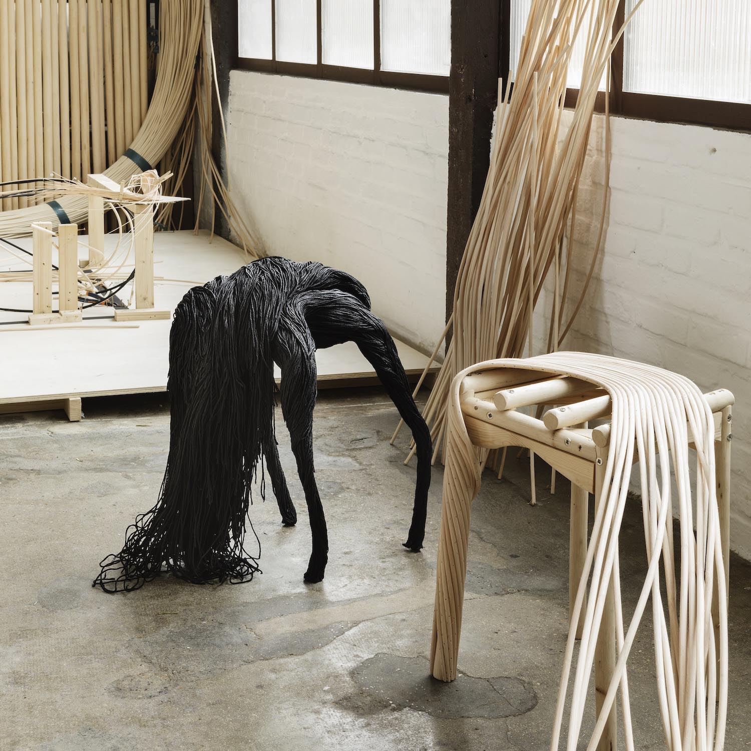 Aurelie Hoegy