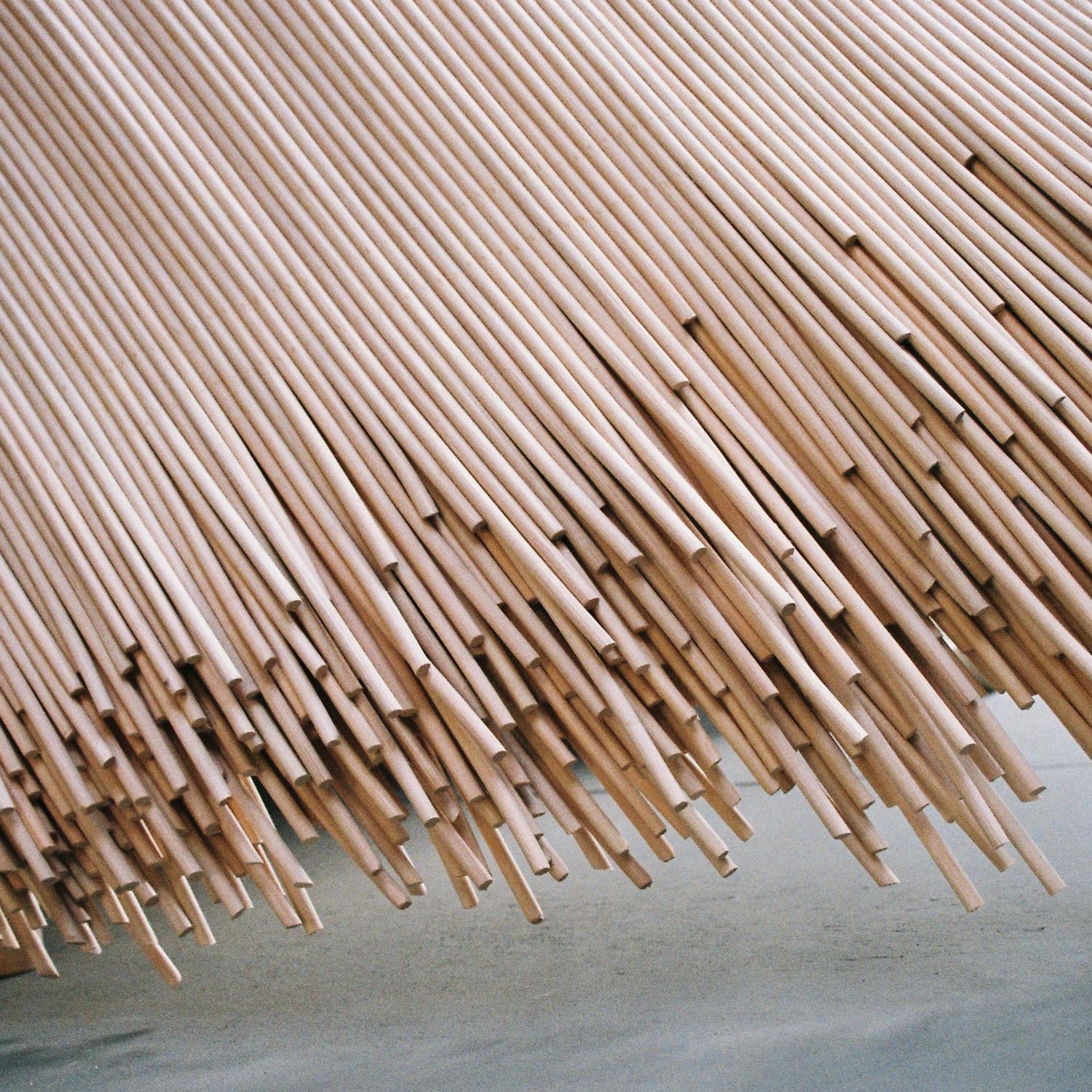 Aurelie Hoegy