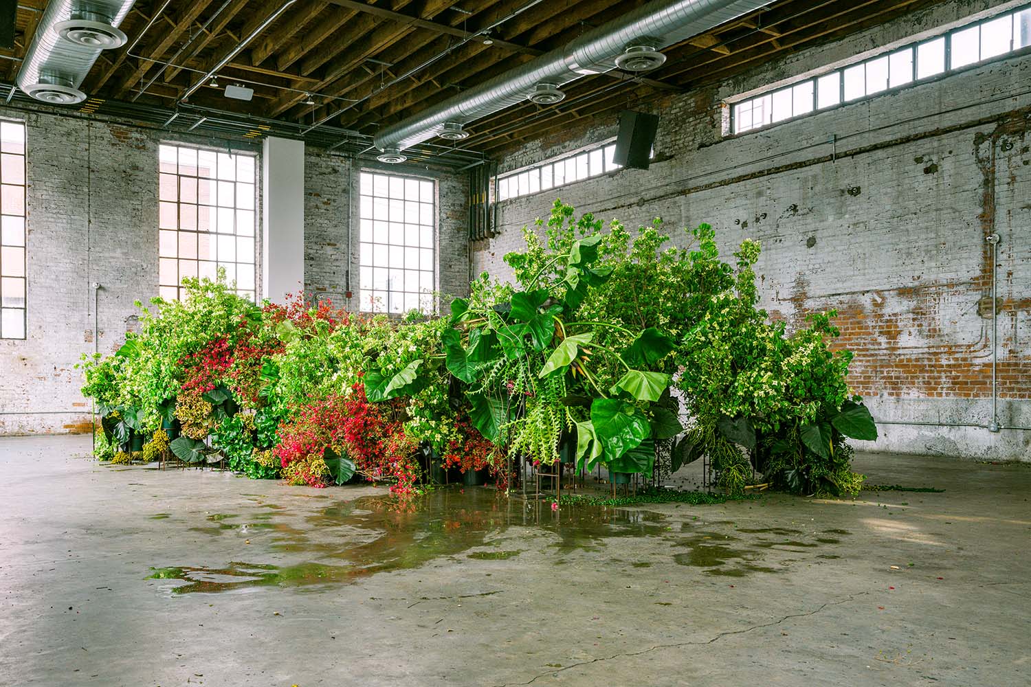 Emily Thompson. Arte floral. Artistas florales