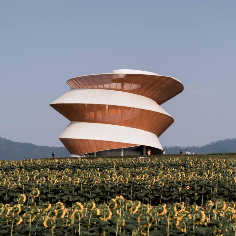 Doarchi Studio