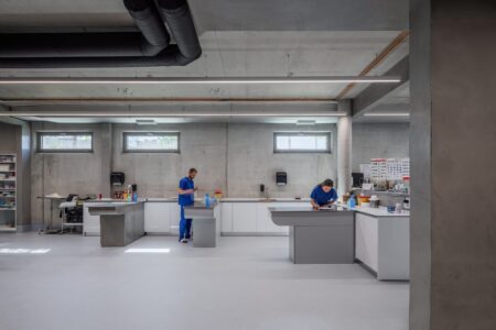 hospital veterinario, brutalismo, Tirana