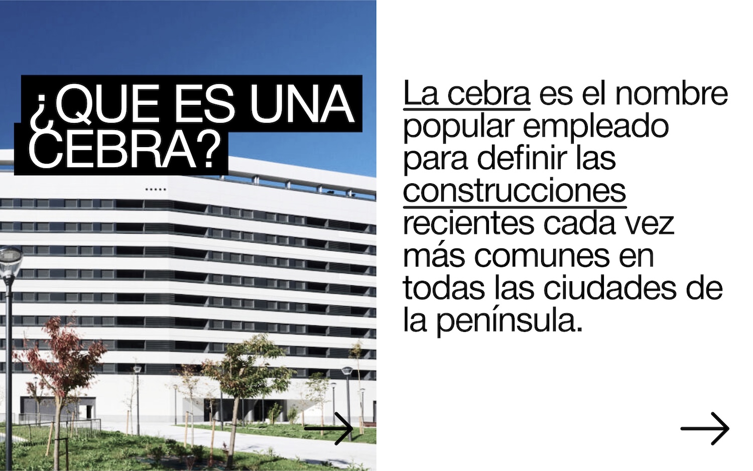 Cebra, bloque_cebra, Instagram
