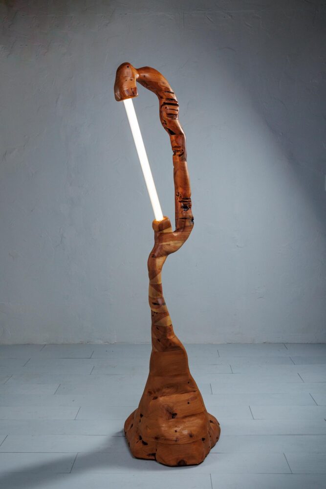 muebles de madera, diseño orgánico