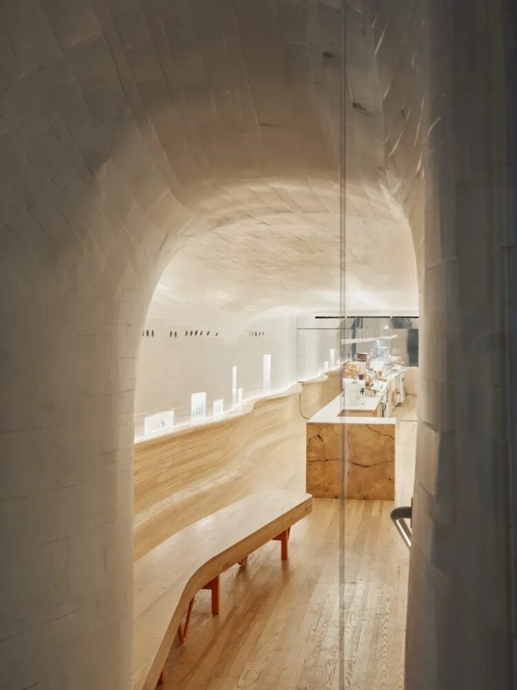 cafetería de especialidad, MoMA, Selgascano, Nueva York