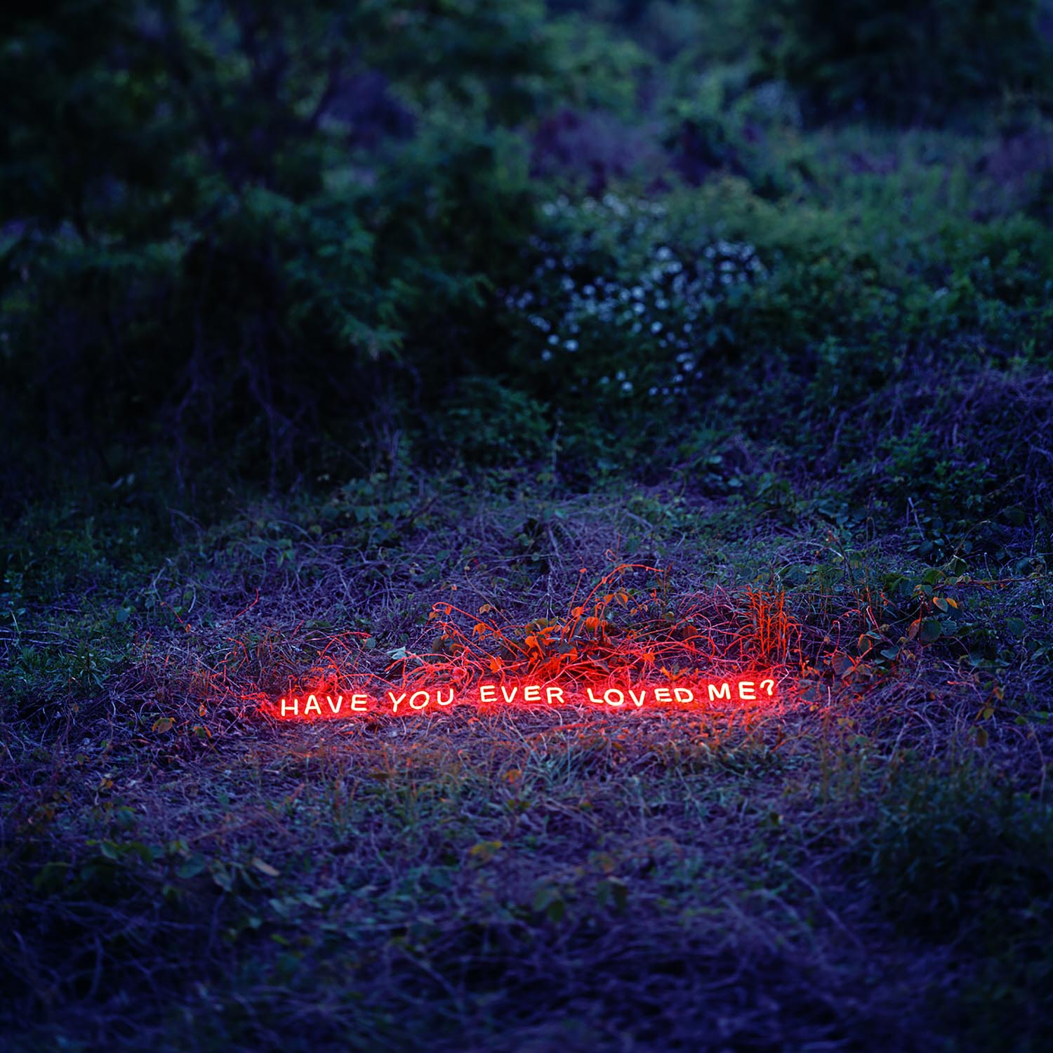 Jung Lee