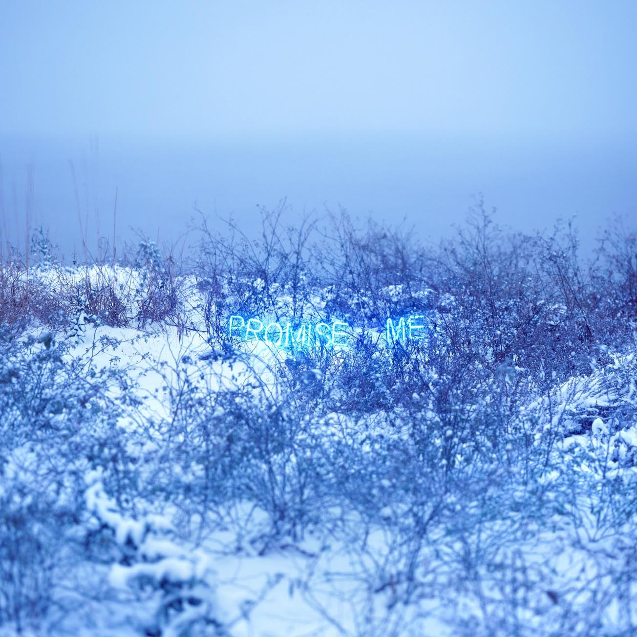 Jung Lee