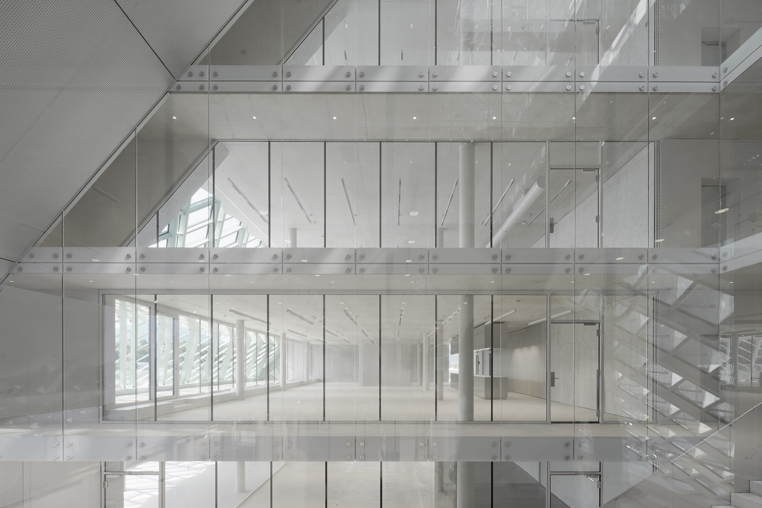 Dynafit, Barozzi Veiga