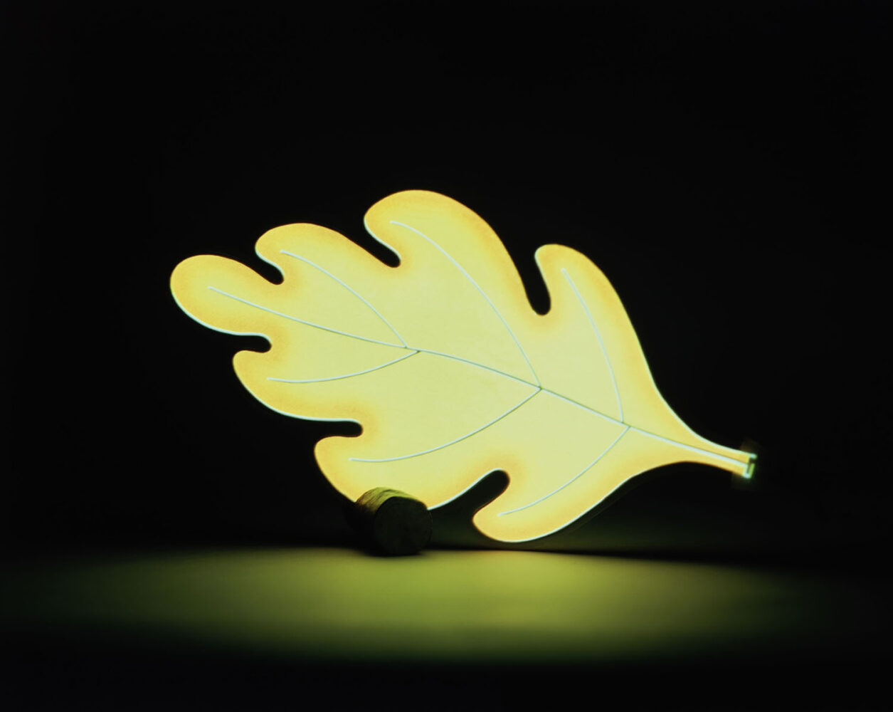 Foglia. Andrea Branzi. Centre Pompidou