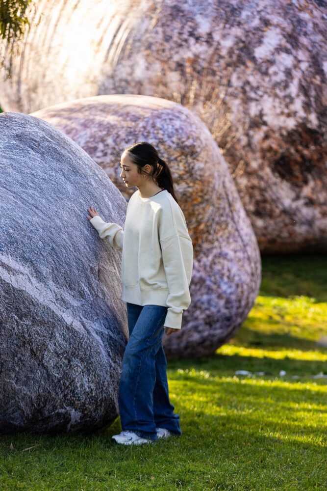 Iwagumi, land art, ENESS, Melbourne, rocas