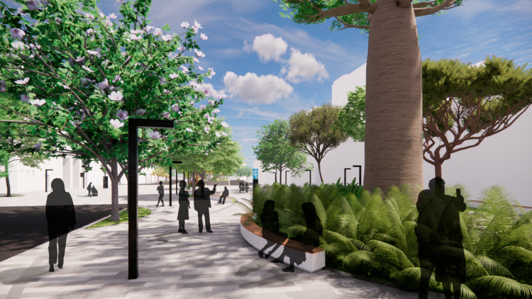 Paseo amplio con bancos curvos, vegetación densa y un gran baobab; personas caminando bajo arbolado y tótems de señalización del proyecto Sankofa en el área portuaria de Río.
