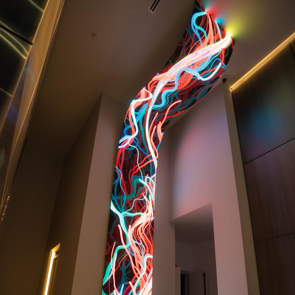 Studio Daniel Canogar