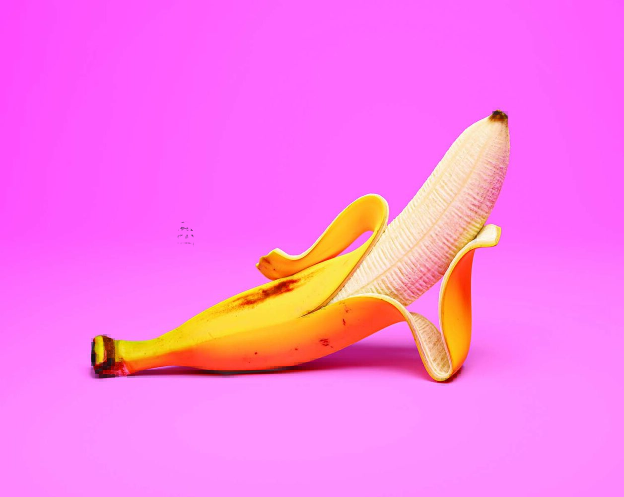 Javier Jaén, mundo editorial, diseño editorial, lenguaje editorial