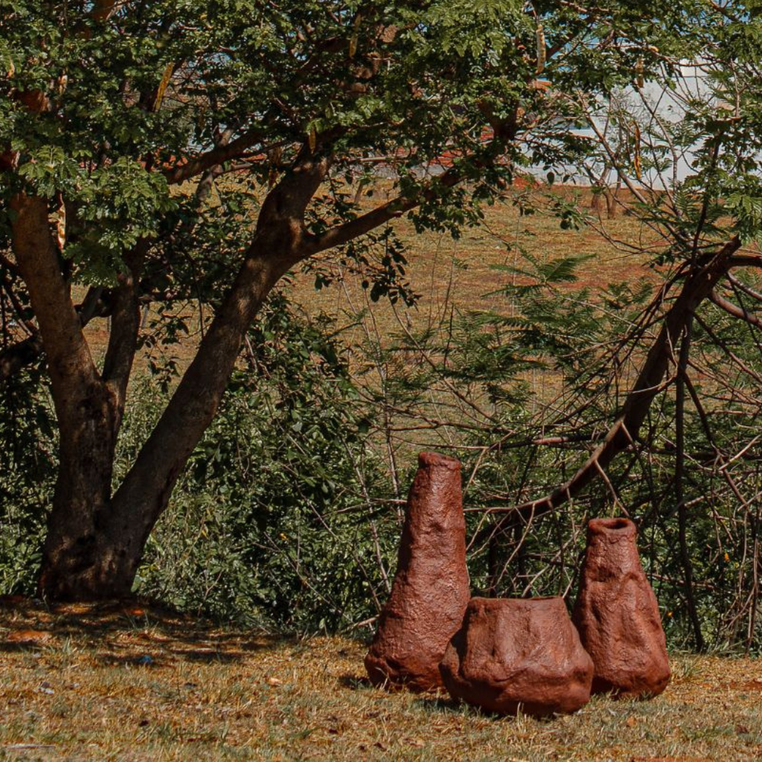 Colección Cupinzeiro. OCA Objeto