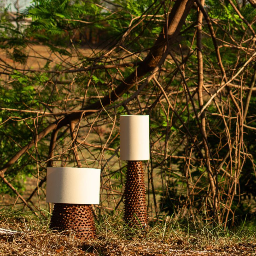 La línea Espinhal. OCA OBjeto