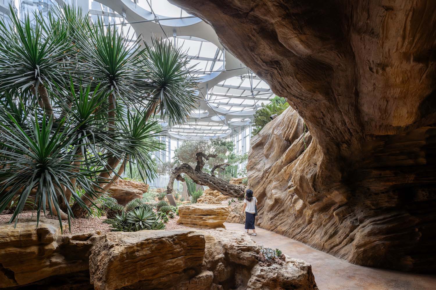 Expo Cultural Park GreenHouse Garden, DMAA, invernadero, Shanghái