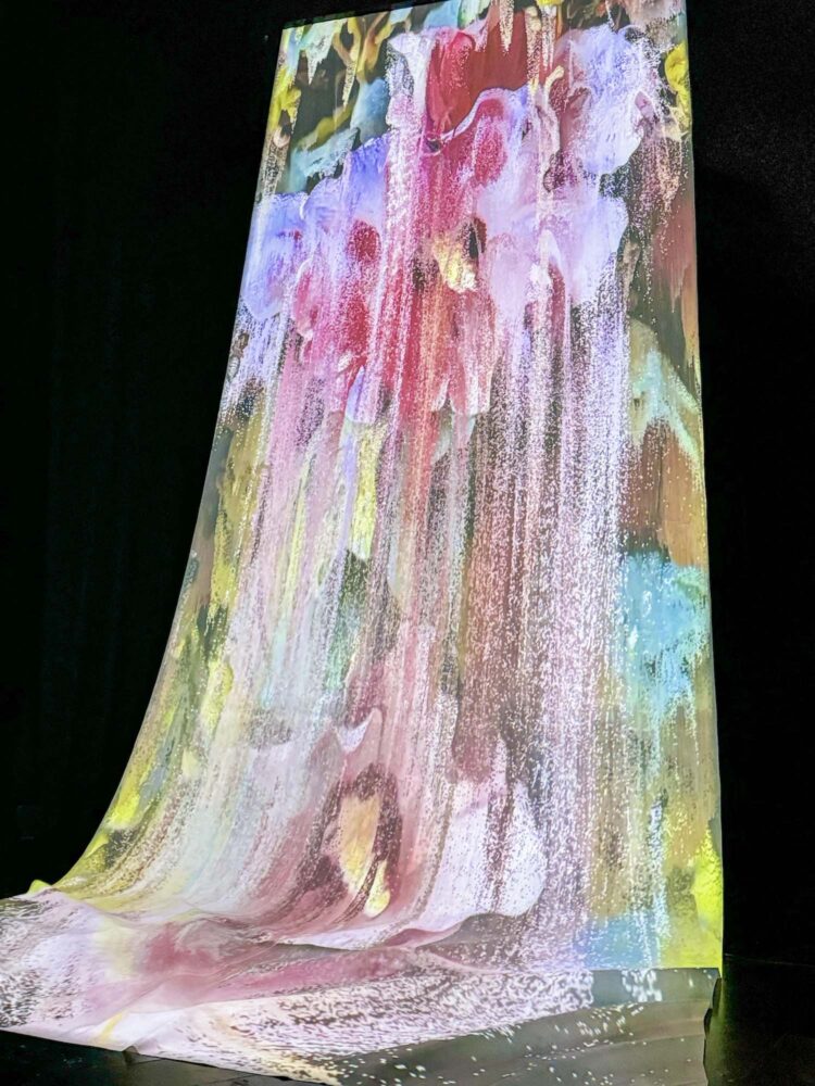 arte digital, bienal, bienal némo