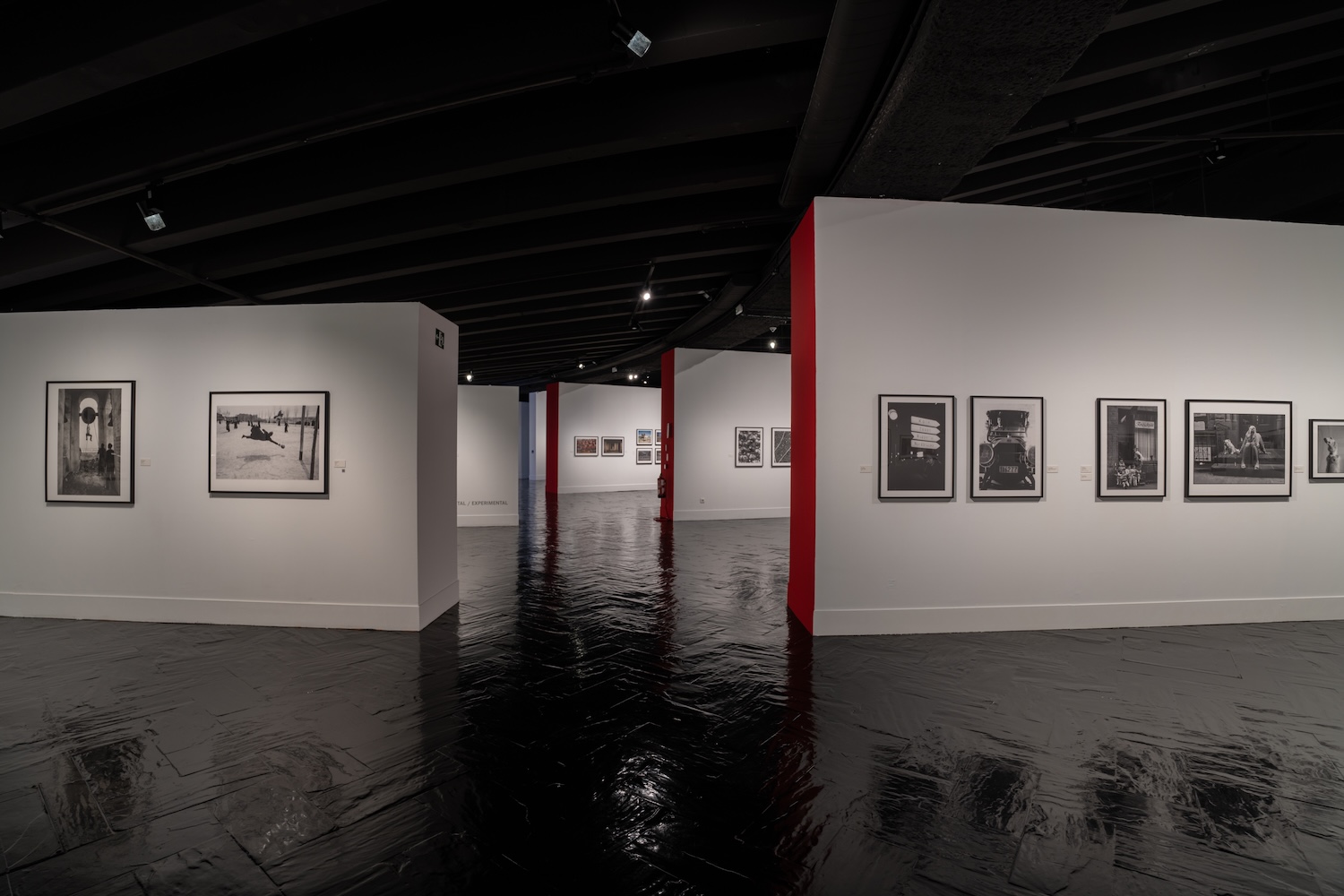 Leica, fotografía, Centro cultural Fernán Gómez