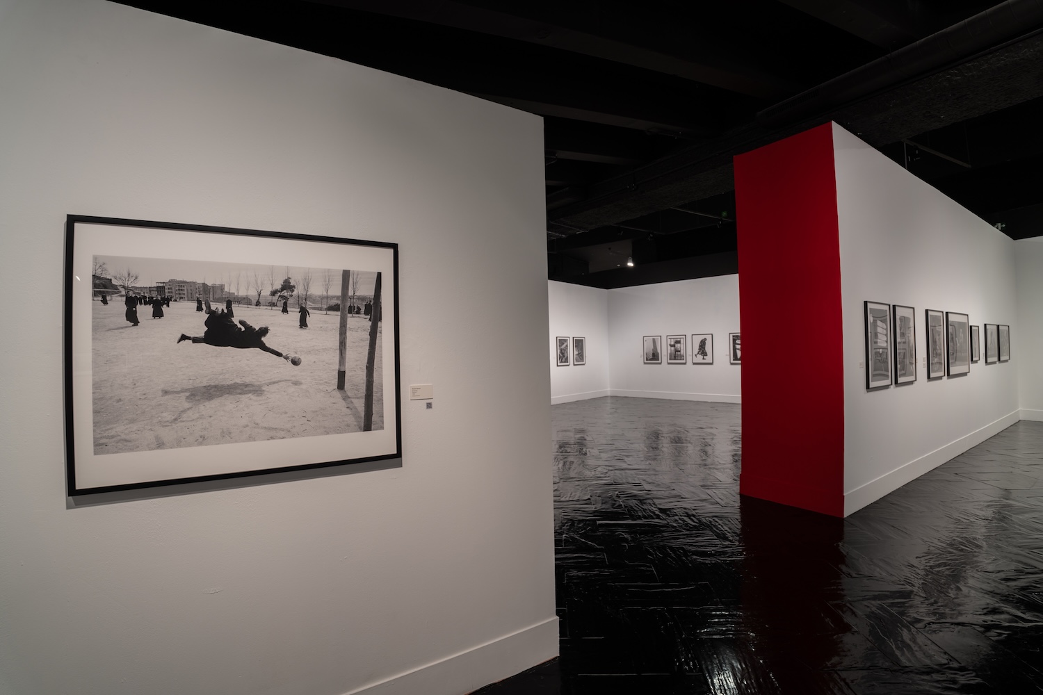 Leica, fotografía, Centro cultural Fernán Gómez