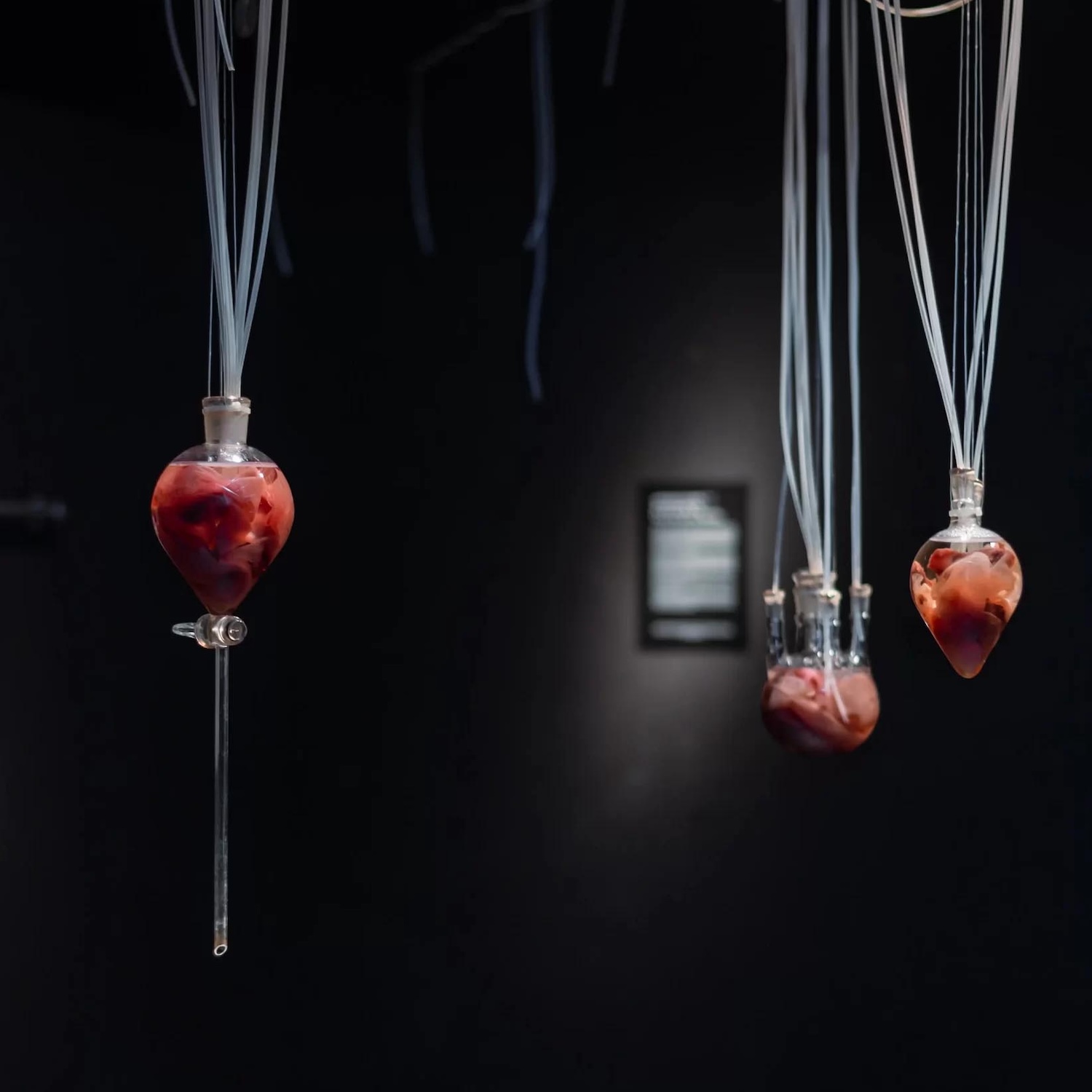 Margherita Pevere. Wombs
