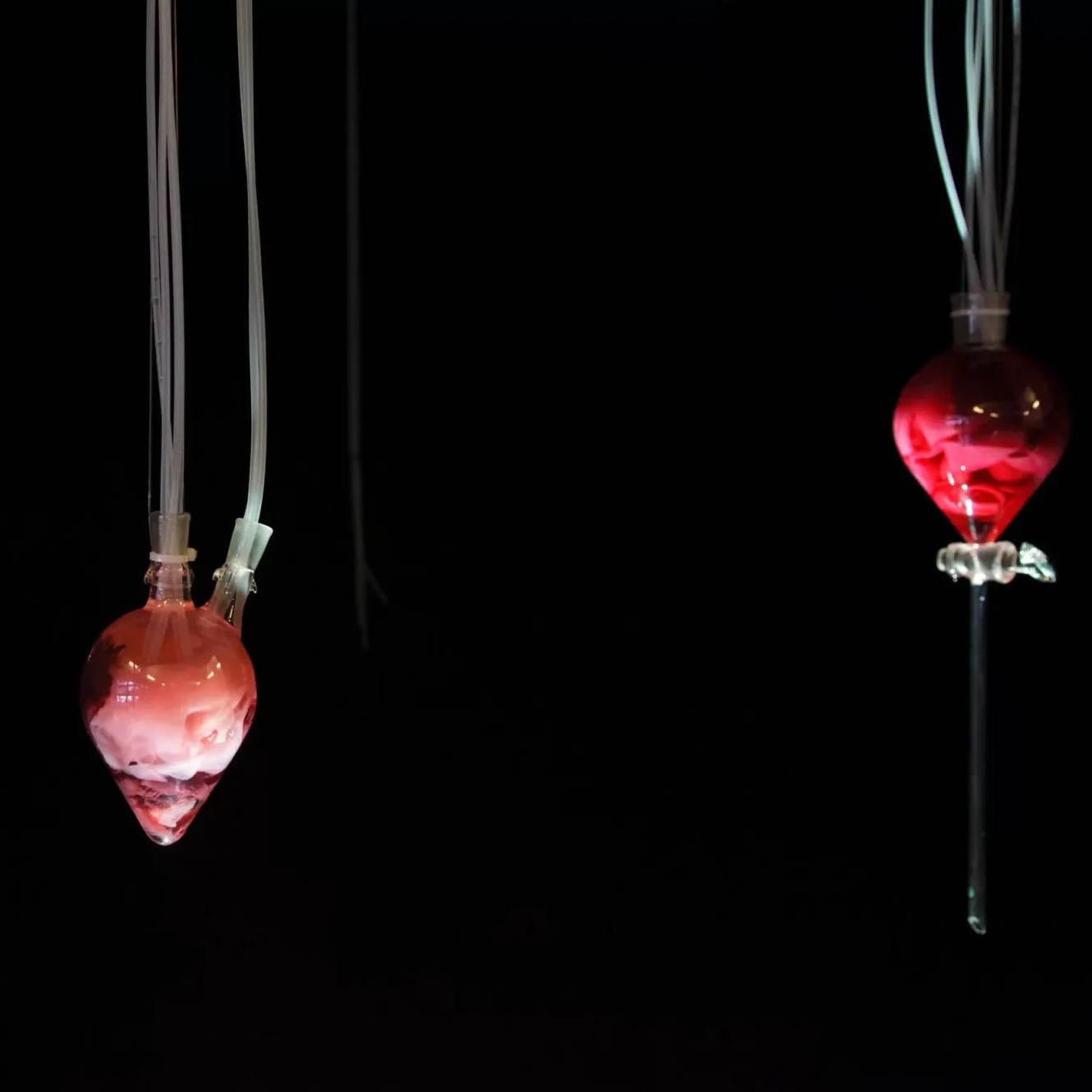 Margherita Pevere. Wombs