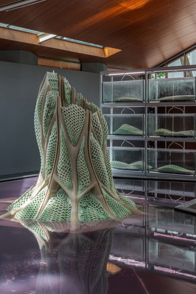 Bienal de Arquitectura de Venecia, Picoplanktonics, Andrea S. Ling