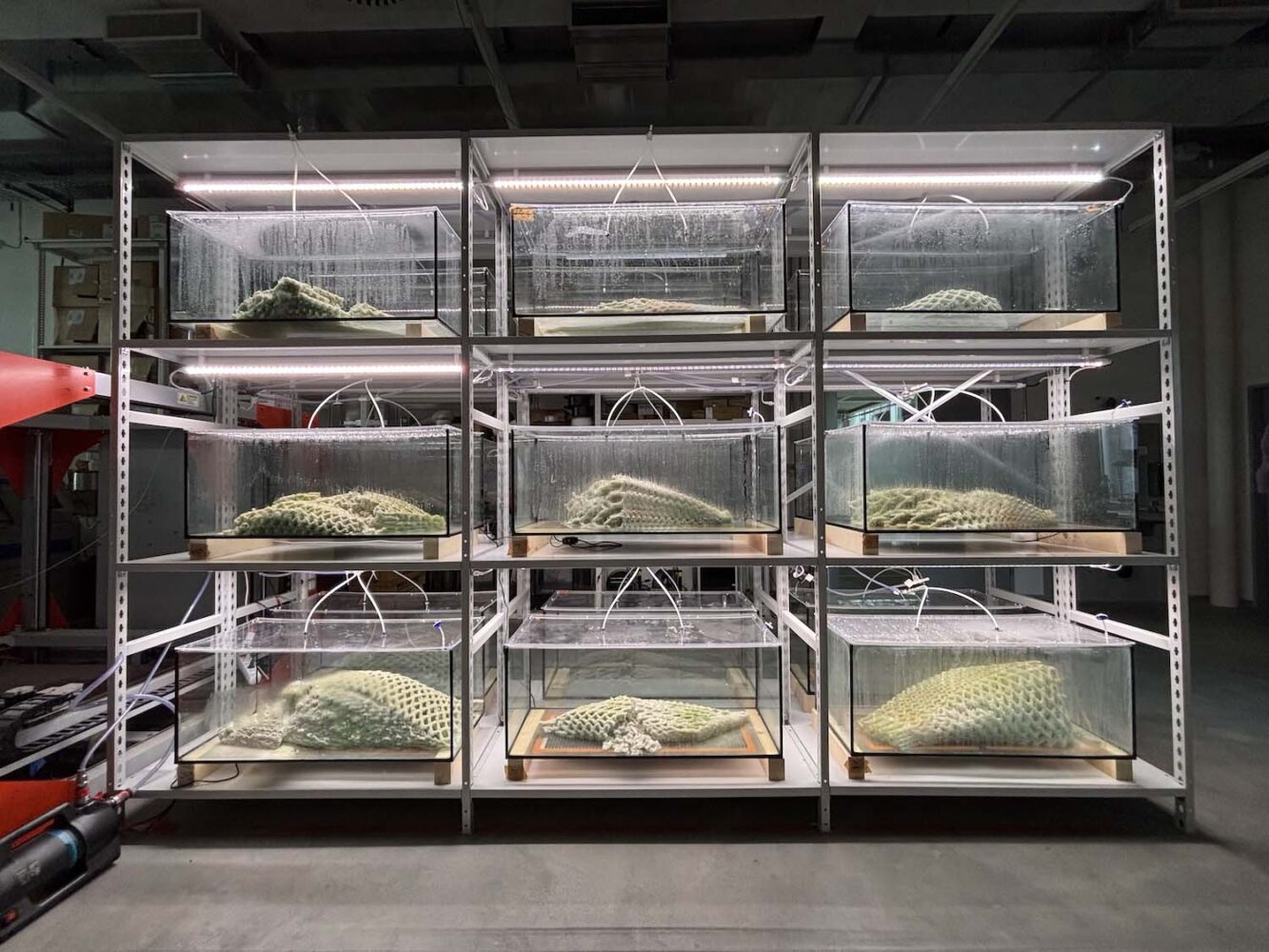 Bienal de Arquitectura de Venecia, Picoplanktonics, Andrea S. Ling