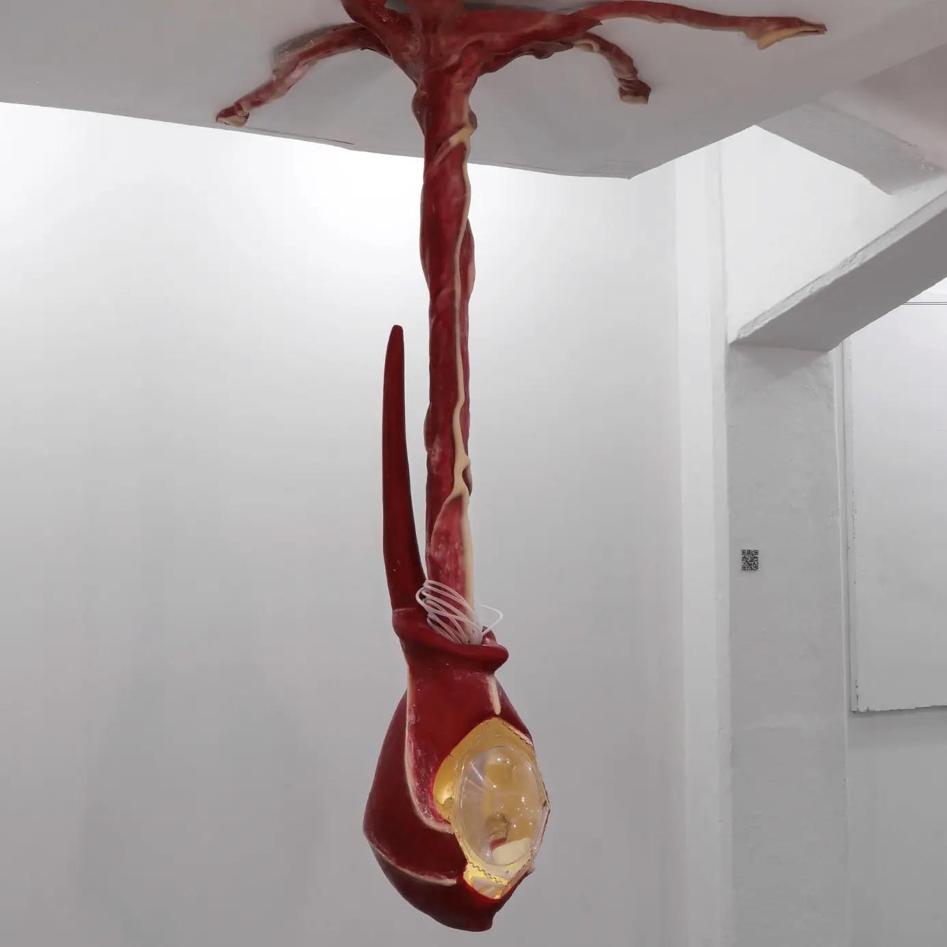 Margherita Pevere. Wombs