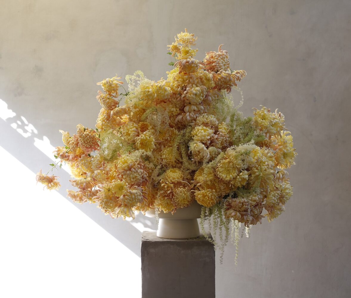 Festival Flora