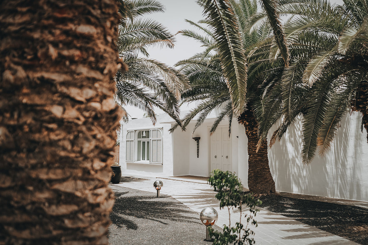 Villa Amonita. Proyecto ganador APE Grupo Architecture Awards 2024. OOOOX