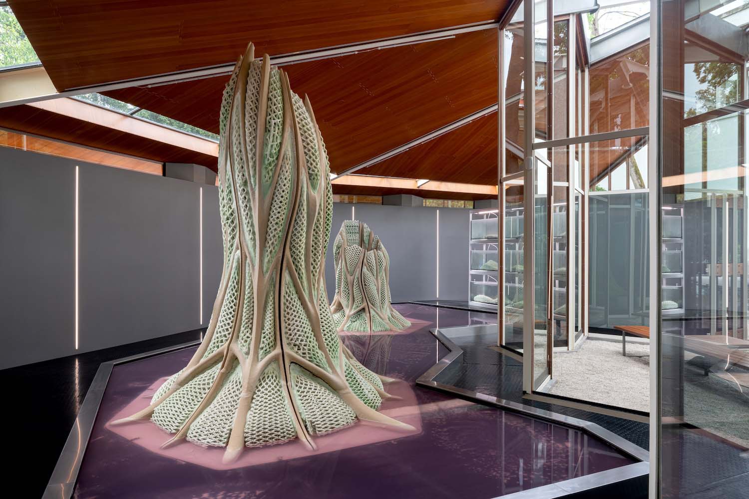 Bienal de Arquitectura de Venecia, Picoplanktonics, Andrea S. Ling