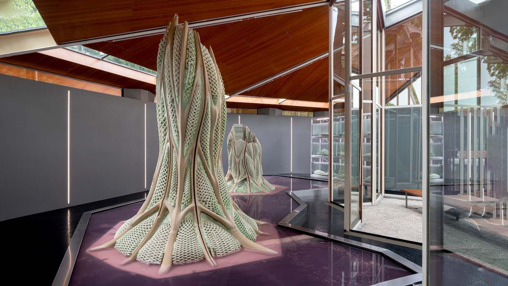 Bienal de Arquitectura de Venecia, Picoplanktonics, Andrea S. Ling