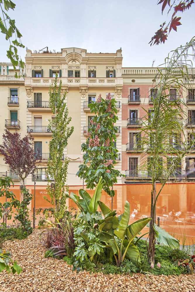 Arca. TAKK. Nuevos Paisajistas. Paisajismo