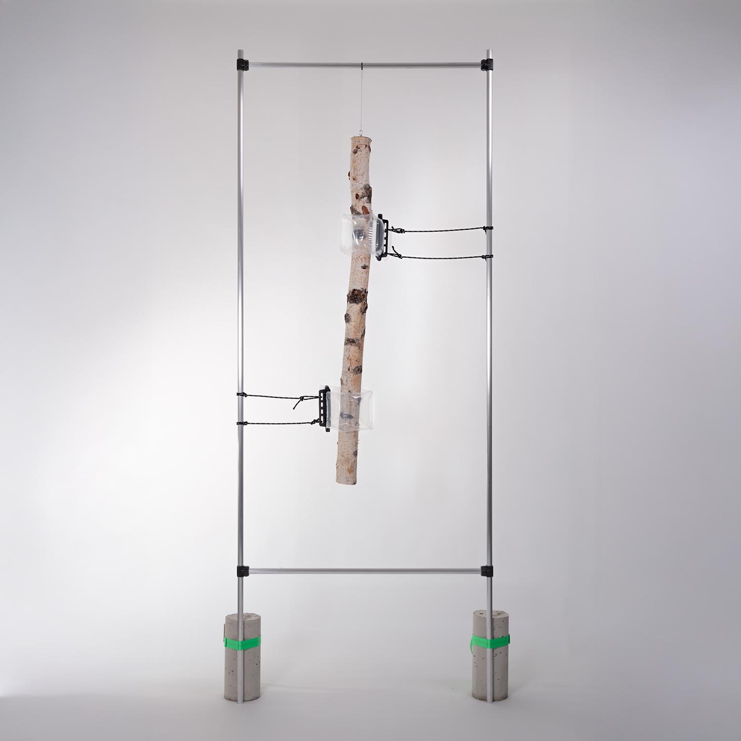 Muthesius University