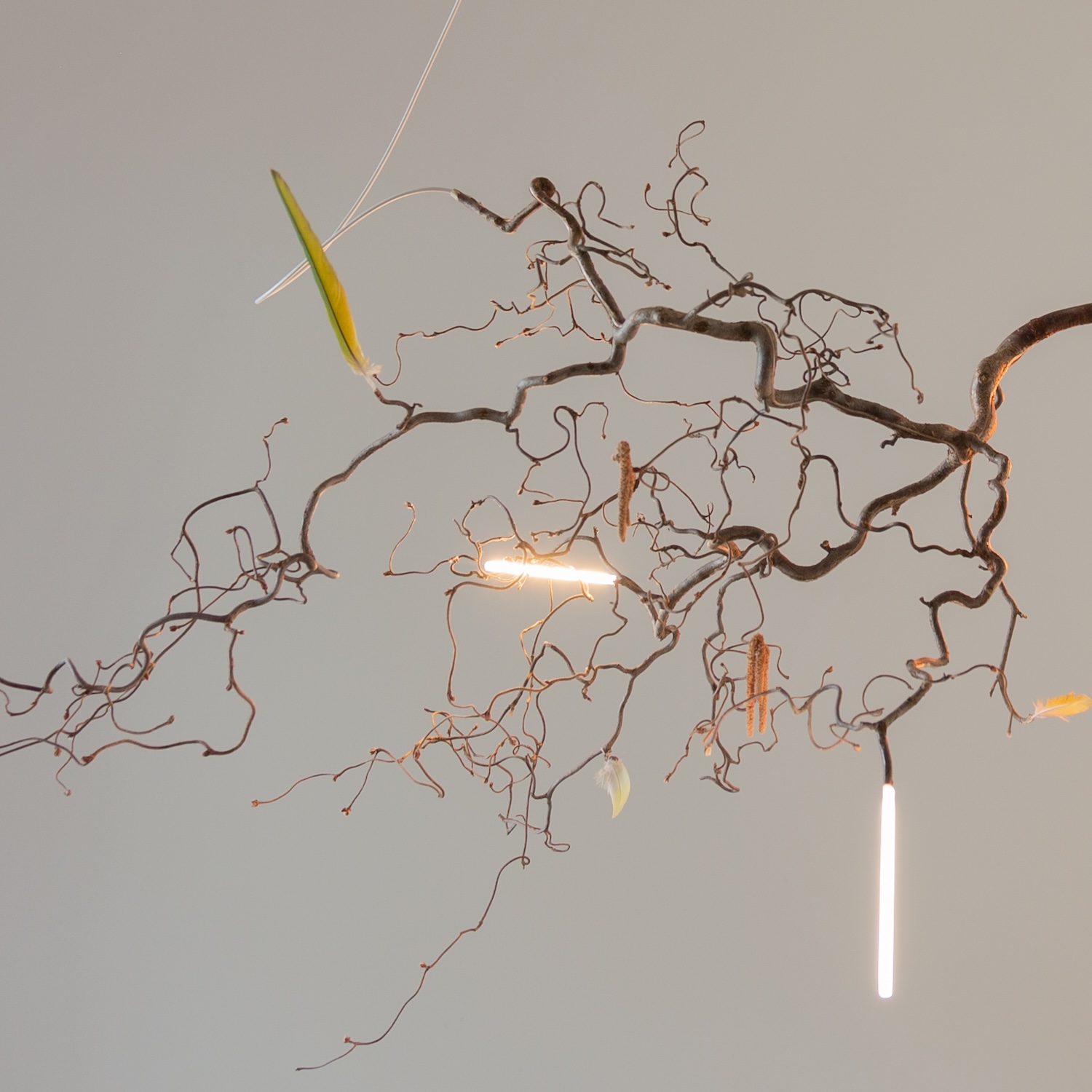 Unproduced. Maximilian Marchesani