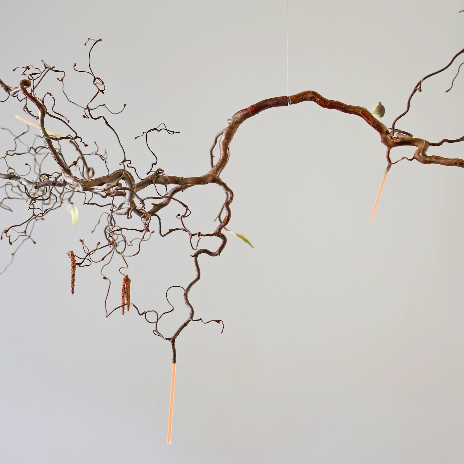 Unproduced. Maximilian Marchesani