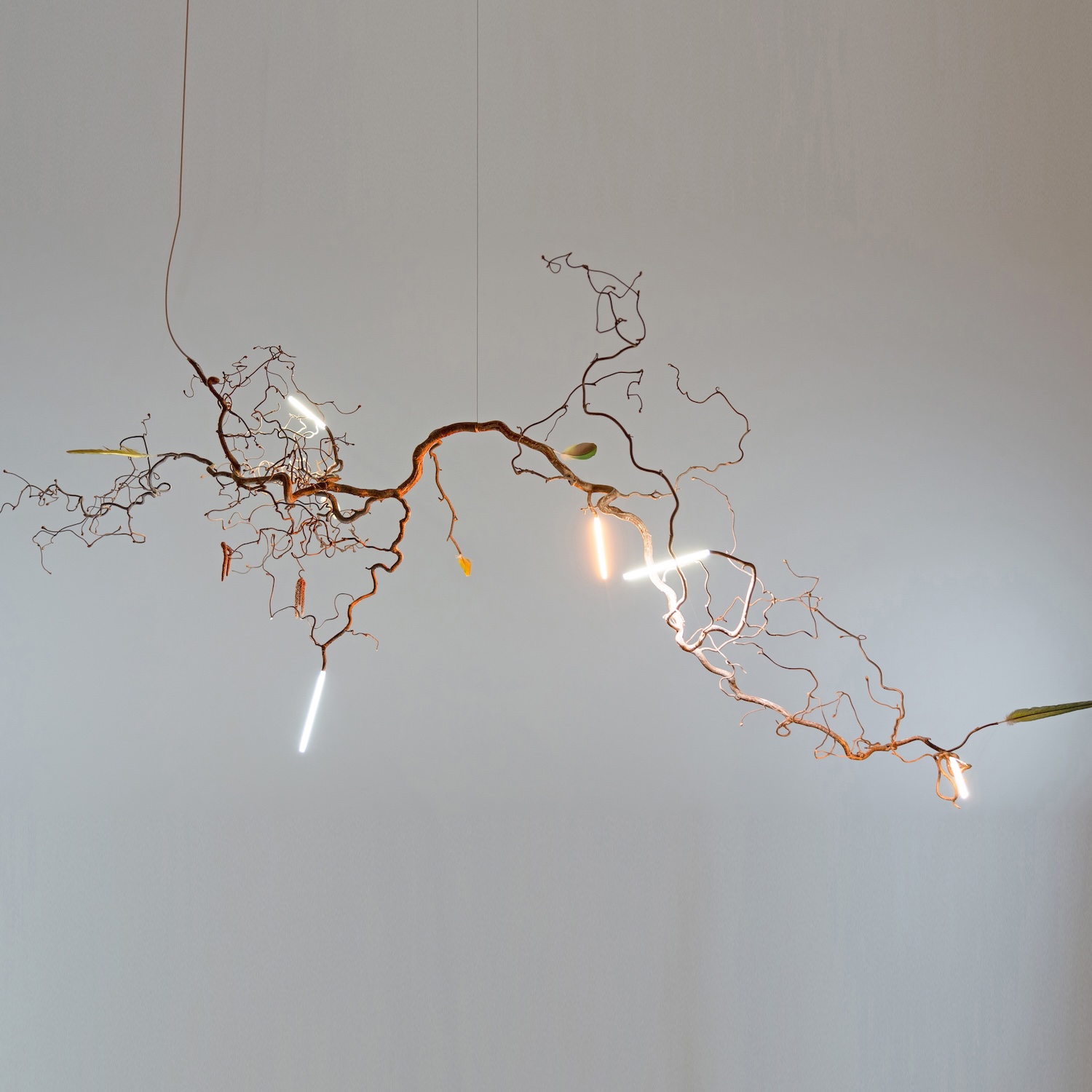 Unproduced. Maximilian Marchesani