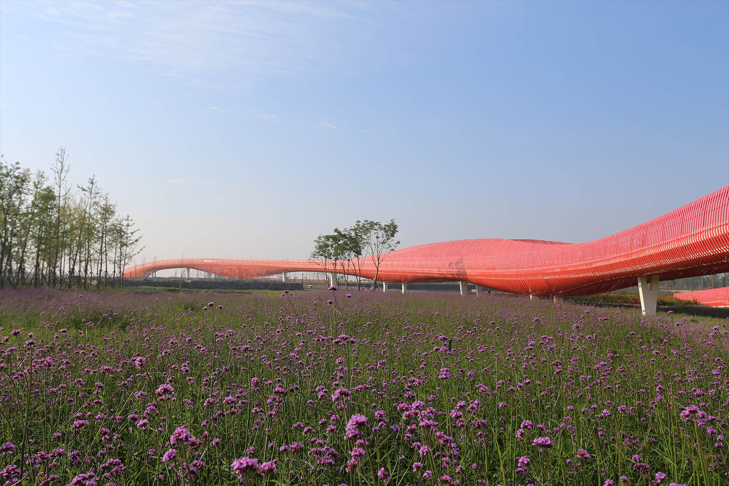 Suqian Santaishan Flower Quilt. Turenscape. Nuevos Paisajistas. Paisajismo