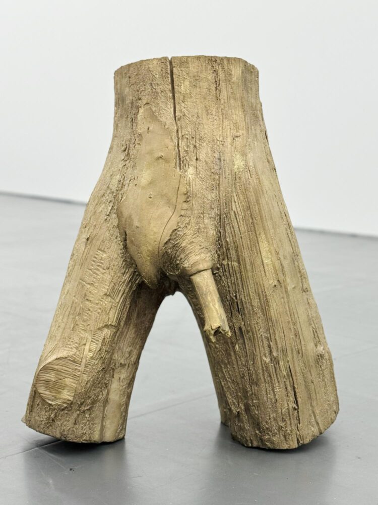 Alexandra Bircken, Culturgest, Lisboa