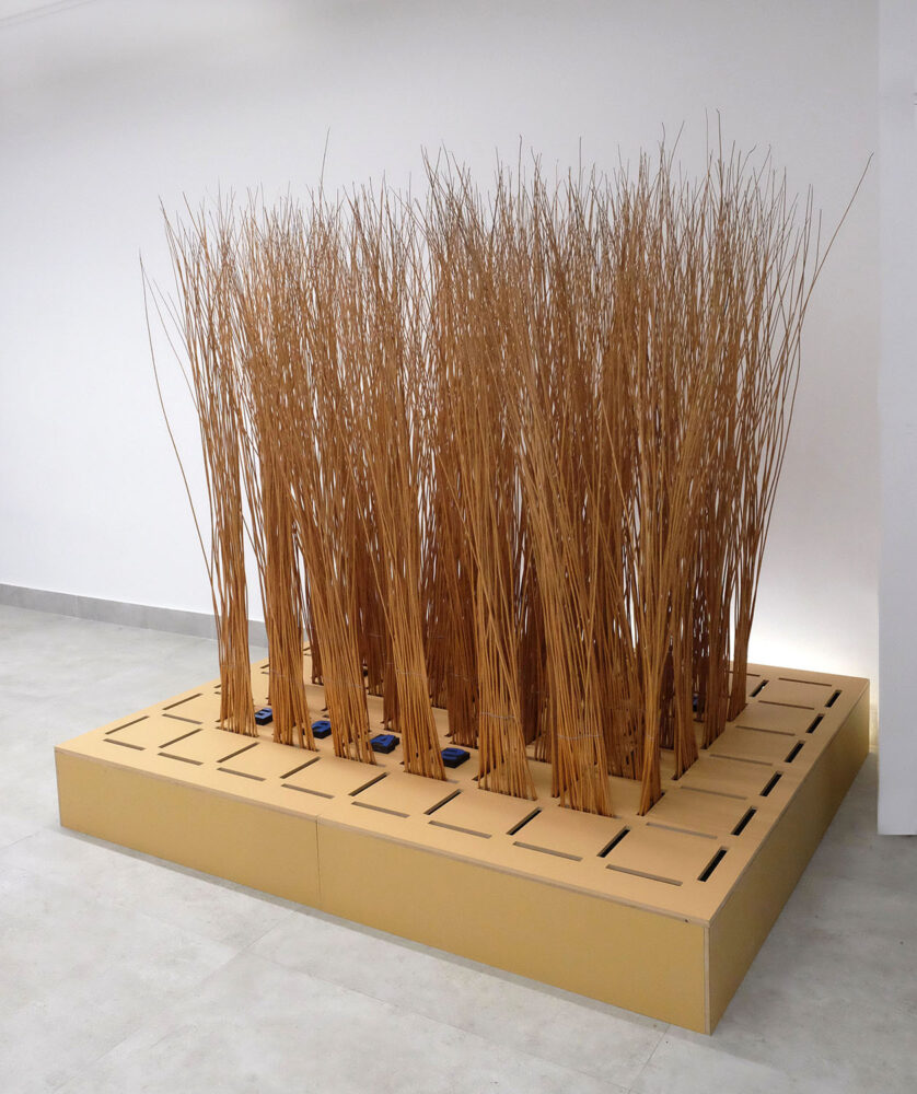 Ti ha fatto pensare. Illaria Franceschini, Alejandro Abarzúa y Christian Granados.. Gabinete de Arte y Curiosidades. Formica Group y TetúanCrea