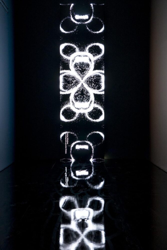 Cachito Vallés, CAAC