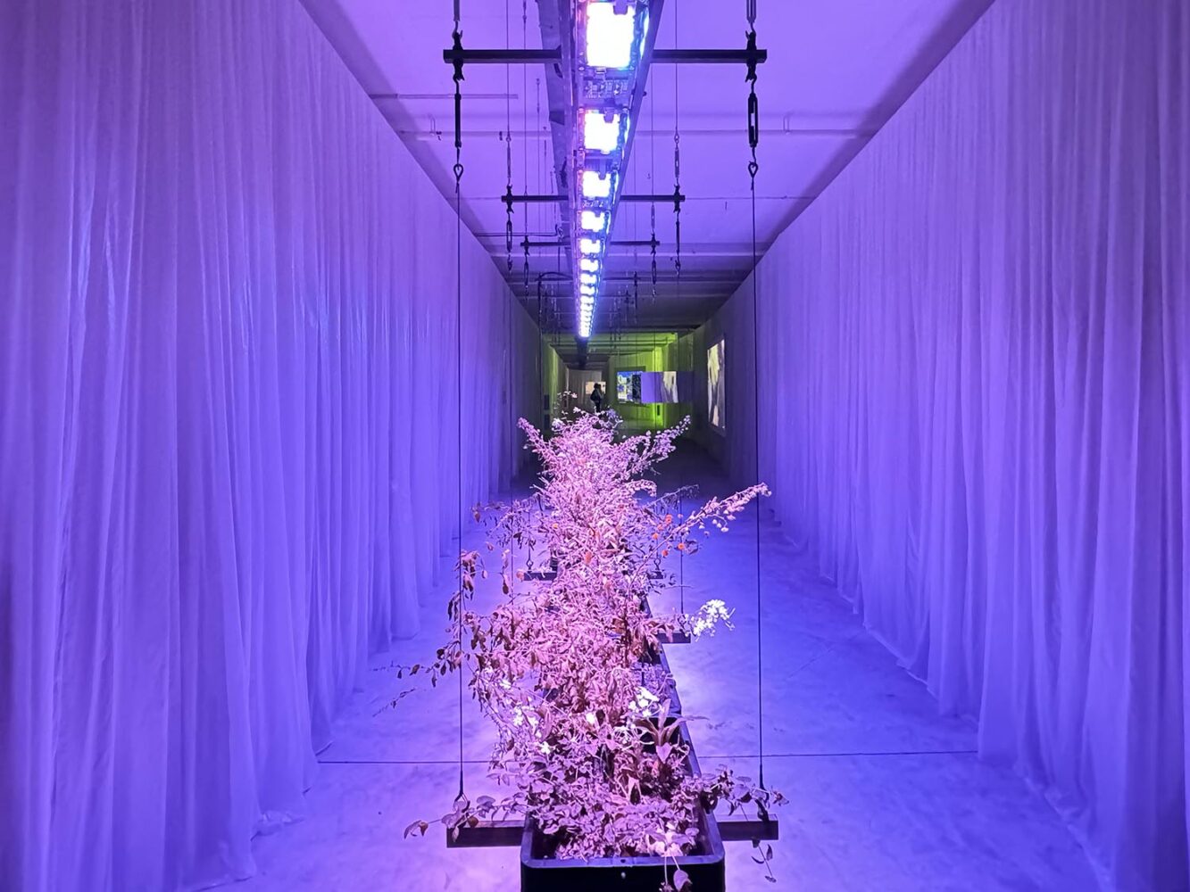 Trienal de Arquitectura de Lisboa