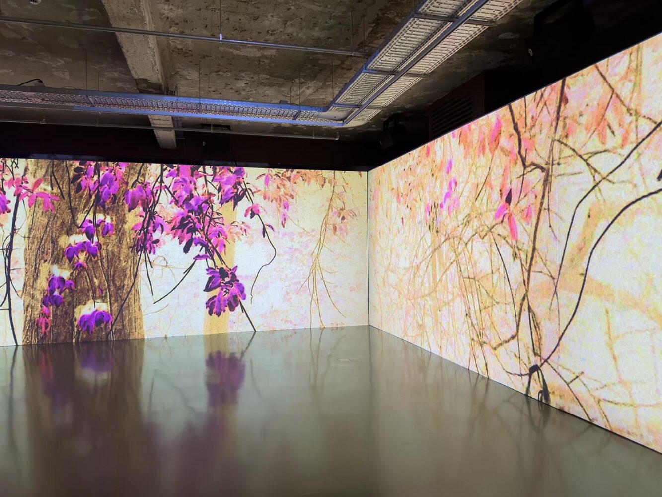 Trienal de Arquitectura de Lisboa