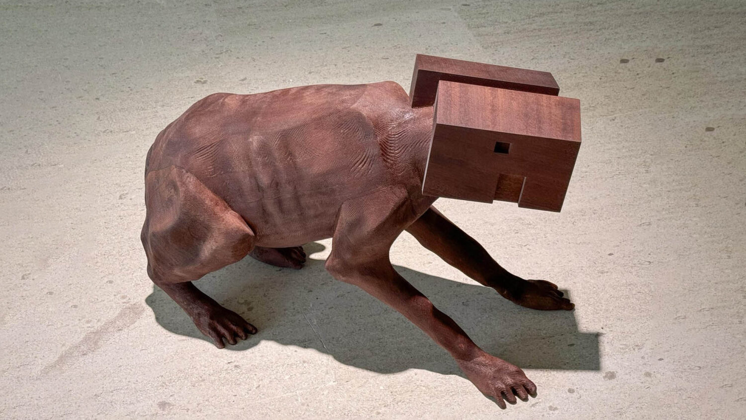 Carlos Bunga. CAM Gulbeikian. ©paconeumann