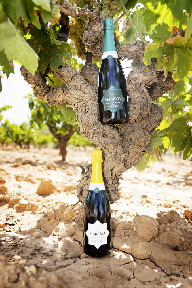 Bodegas Cavas Marevia