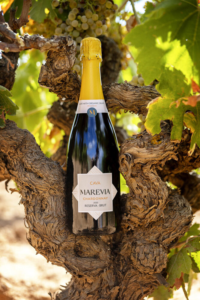 Bodegas Cavas Marevia