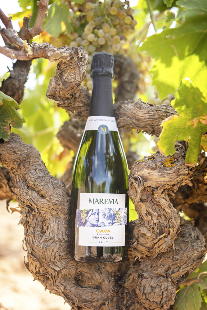 Bodegas Cavas Marevia