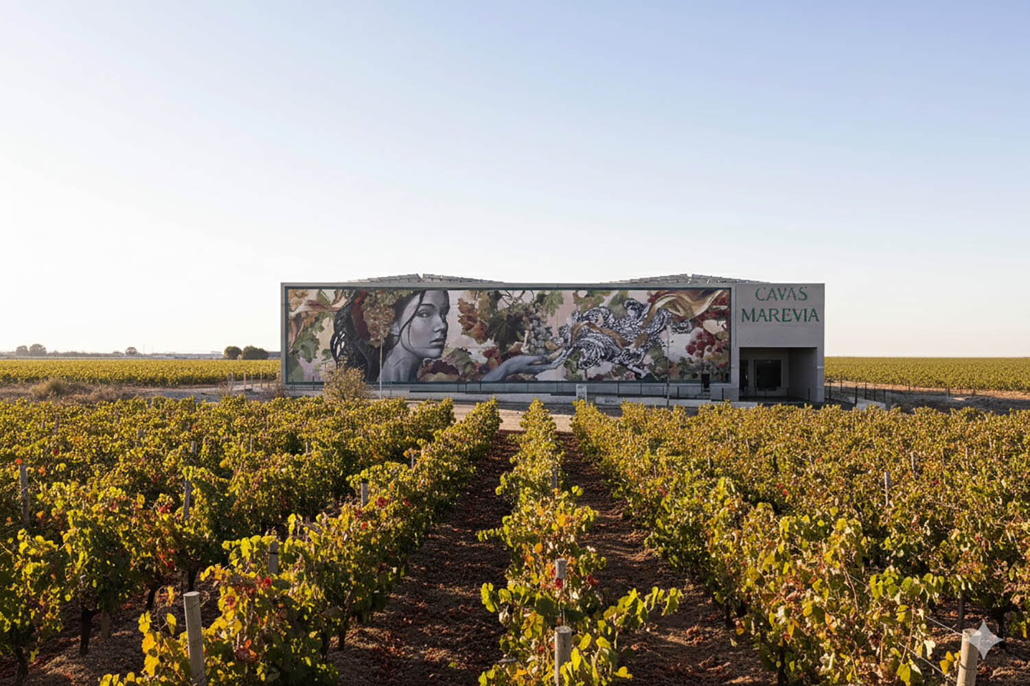 Bodegas Cavas Marevia