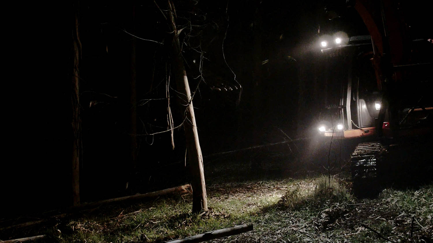 Caída na Noite. © Oliver Laxe. Nuevos Imaginarios Contemporáneaos. Conde Duque.