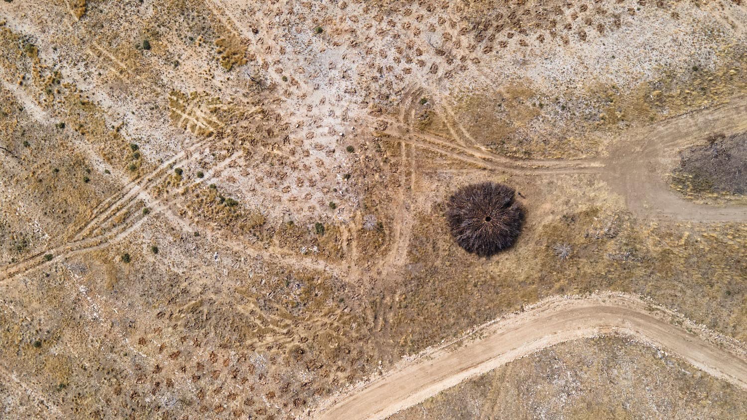 Socarrado, Nomad Studio, incendios forestales, Burgos, Parque Natural Sabinares de Arlanza – La Yecla